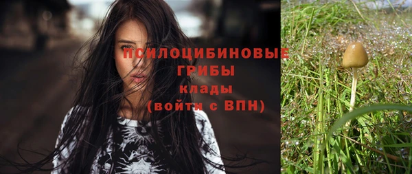 МДМА Няндома