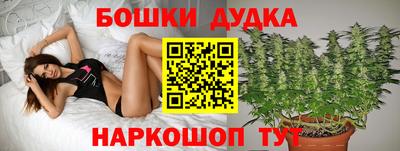 стафф Бийск