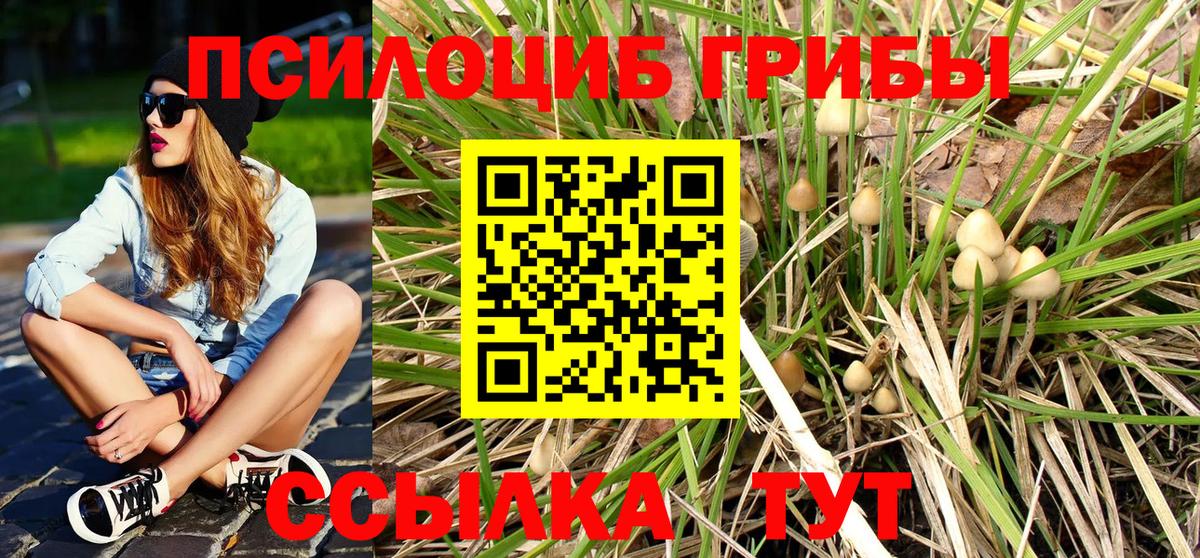 Галлюциногенные грибы GOLDEN TEACHER  где можно купить наркотик  Фролово  Псилоцибиновые грибы MAGIC MUSHROOMS 