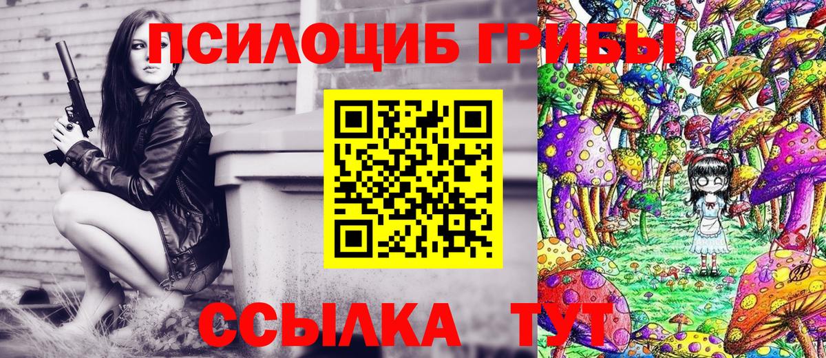 Псилоцибиновые грибы Psilocybine cubensis Фролово