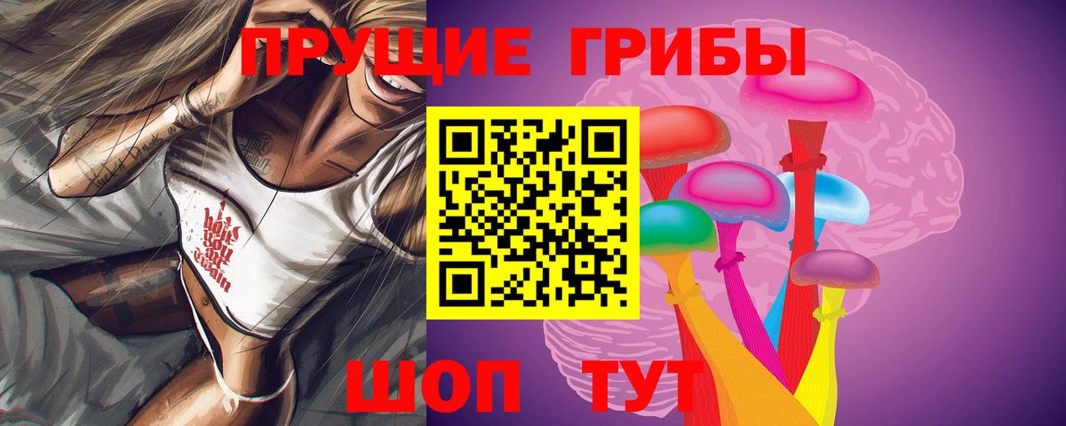 Псилоцибиновые грибы GOLDEN TEACHER Фролово